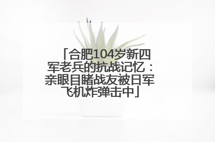 合肥104岁新四军老兵的抗战记忆：亲眼目睹战友被日军飞机炸弹击中
