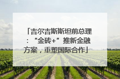 吉尔吉斯斯坦前总理：“金砖+”推新金融方案，重塑国际合作