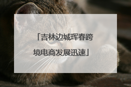 吉林边城珲春跨境电商发展迅速