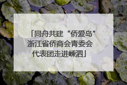 同舟共建“侨爱岛” 浙江省侨商会青委会代表团走进嵊泗