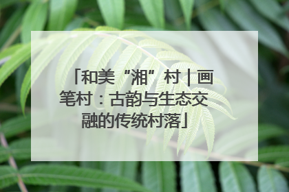 和美“湘”村｜画笔村：古韵与生态交融的传统村落