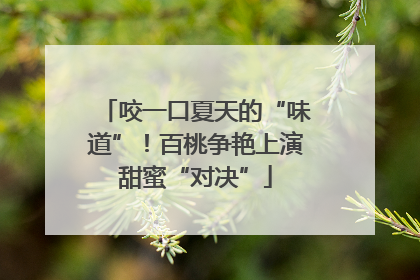 咬一口夏天的“味道”！百桃争艳上演甜蜜“对决”