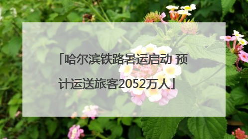 哈尔滨铁路暑运启动 预计运送旅客2052万人