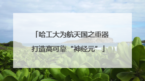 哈工大为航天国之重器打造高可靠“神经元”