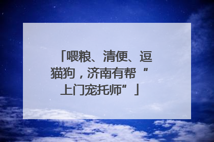 喂粮、清便、逗猫狗，济南有帮“上门宠托师”
