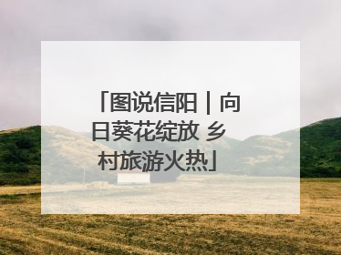 图说信阳｜向日葵花绽放 乡村旅游火热