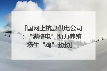 国网上杭县供电公司：“满格电”助力养殖场生“鸡”勃勃