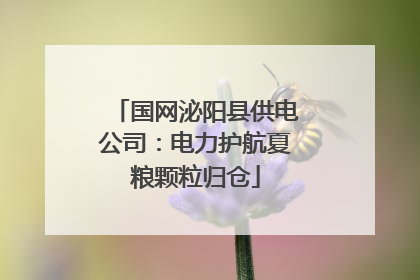 国网泌阳县供电公司：电力护航夏粮颗粒归仓