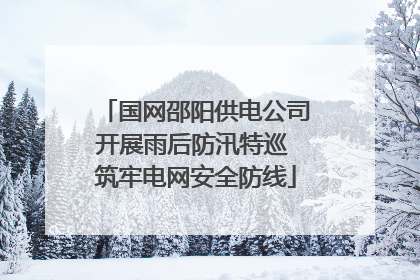 国网邵阳供电公司开展雨后防汛特巡 筑牢电网安全防线