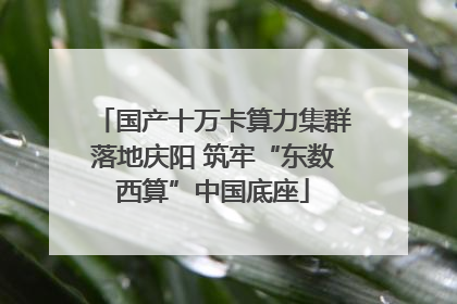 国产十万卡算力集群落地庆阳 筑牢“东数西算”中国底座