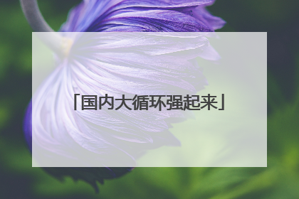 国内大循环强起来