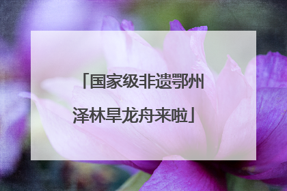 国家级非遗鄂州泽林旱龙舟来啦