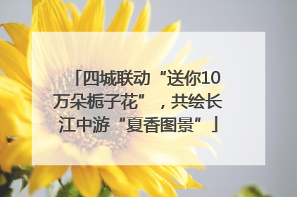 四城联动“送你10万朵栀子花”，共绘长江中游“夏香图景”