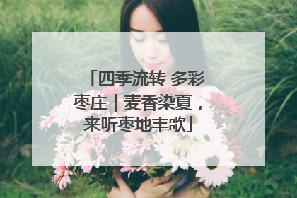 四季流转 多彩枣庄｜麦香染夏，来听枣地丰歌