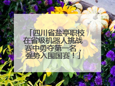 四川省盐亭职校在省级机器人挑战赛中勇夺第一名，强势入围国赛！