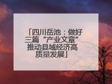 四川岳池：做好三篇“产业文章” 推动县域经济高质量发展