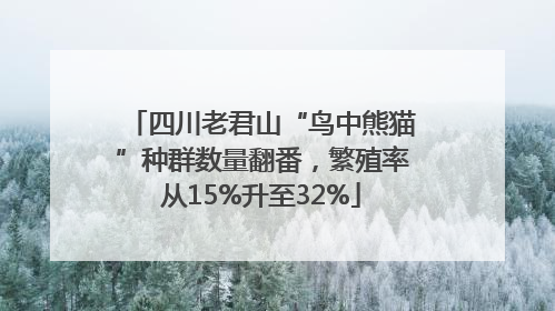 四川老君山“鸟中熊猫”种群数量翻番，繁殖率从15%升至32%