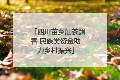 四川苗乡油茶飘香 民族类资金助力乡村振兴