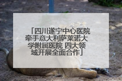 四川遂宁中心医院牵手意大利萨莱诺大学附属医院 四大领域开展全面合作