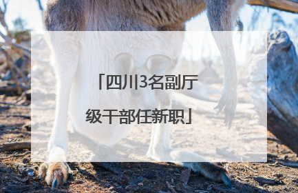 四川3名副厅级干部任新职