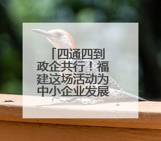 四通四到 政企共行！福建这场活动为中小企业发展赋能