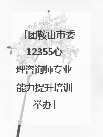 团鞍山市委12355心理咨询师专业能力提升培训举办