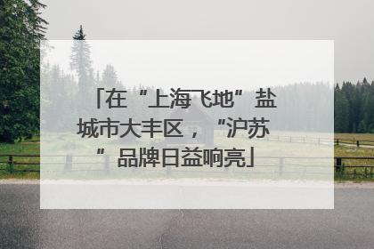 在“上海飞地”盐城市大丰区，“沪苏”品牌日益响亮