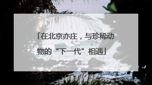 在北京亦庄，与珍稀动物的“下一代”相遇