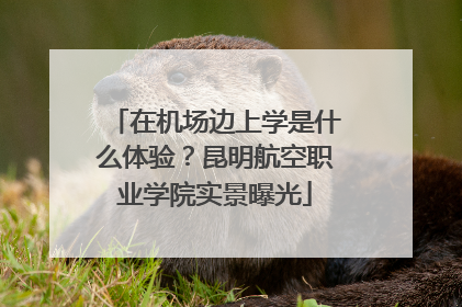 在机场边上学是什么体验？昆明航空职业学院实景曝光