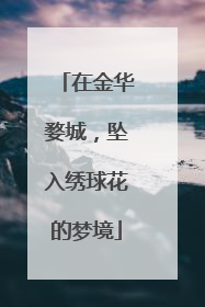 在金华婺城，坠入绣球花的梦境