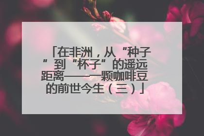 在非洲，从“种子”到“杯子”的遥远距离——一颗咖啡豆的前世今生（三）