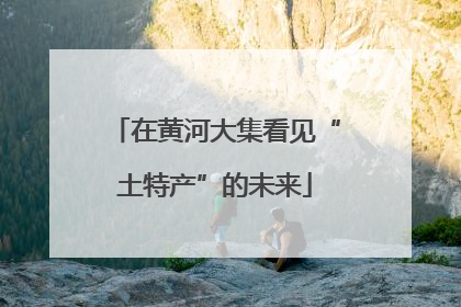 在黄河大集看见“土特产”的未来