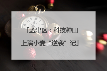 孟津区：科技种田 上演小麦“逆袭”记