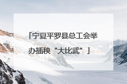 宁夏平罗县总工会举办插秧“大比武”