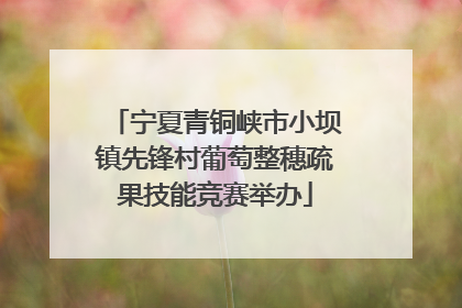 宁夏青铜峡市小坝镇先锋村葡萄整穗疏果技能竞赛举办