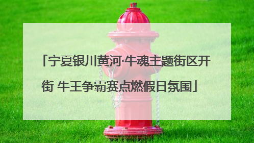 宁夏银川黄河·牛魂主题街区开街 牛王争霸赛点燃假日氛围