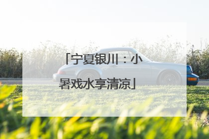 宁夏银川：小暑戏水享清凉