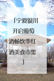 宁夏银川 开启葡萄酒畅饮季红酒美食市集