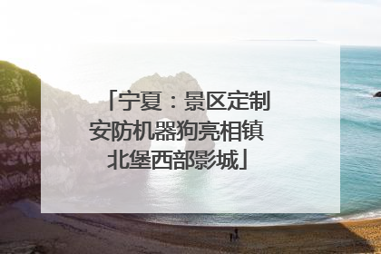 宁夏：景区定制安防机器狗亮相镇北堡西部影城