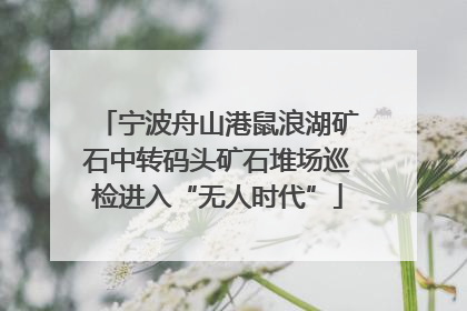 宁波舟山港鼠浪湖矿石中转码头矿石堆场巡检进入“无人时代”