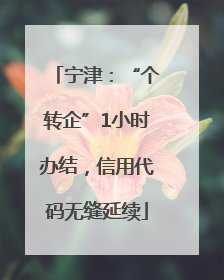 宁津：“个转企”1小时办结，信用代码无缝延续