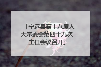宁远县第十八届人大常委会第四十九次主任会议召开