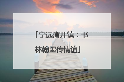 宁远湾井镇：书林翰墨传情谊
