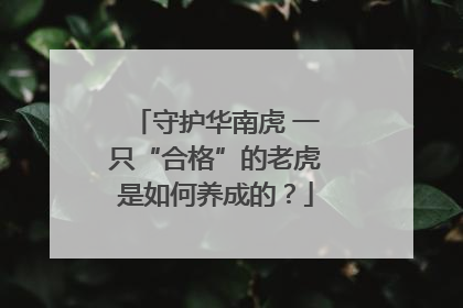 守护华南虎 一只“合格”的老虎是如何养成的？