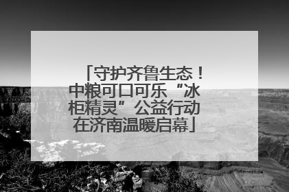 守护齐鲁生态！中粮可口可乐“冰柜精灵”公益行动在济南温暖启幕