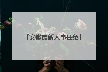 安徽最新人事任免