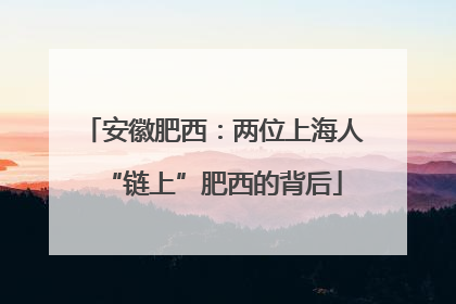 安徽肥西：两位上海人“链上”肥西的背后