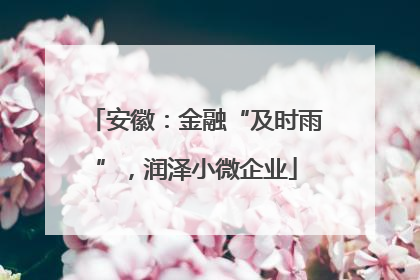安徽：金融“及时雨”，润泽小微企业