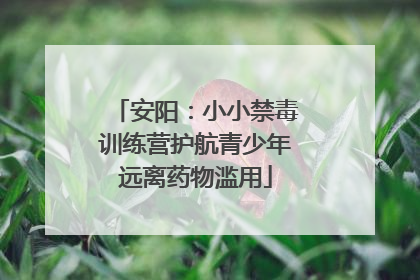 安阳：小小禁毒训练营护航青少年远离药物滥用