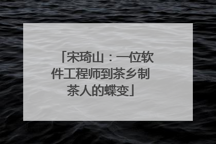 宋琦山：一位软件工程师到茶乡制茶人的蝶变